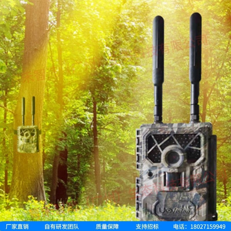 [野生动物录音设备]野生动物录音设备：探寻自然之声的尖端科技