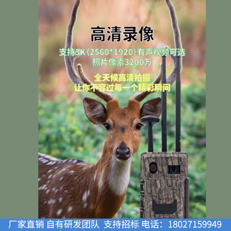 1740101717842057576.png 18.png