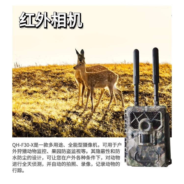 [野外生态野生动物监控]保护野生动物，用监控技术守护生态安全