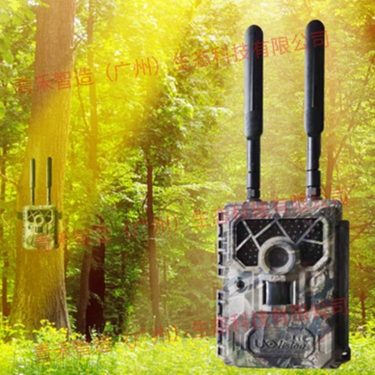 [拍摄野生动物的摄像机]拍摄野生动物的摄像机：探索不同类型的功能与特点