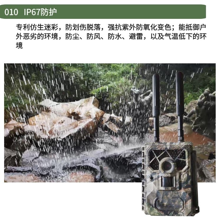 [动物山林果园池塘仓库防盗感应拍照]利用感应拍照实现动物山林果园池塘仓库防盗