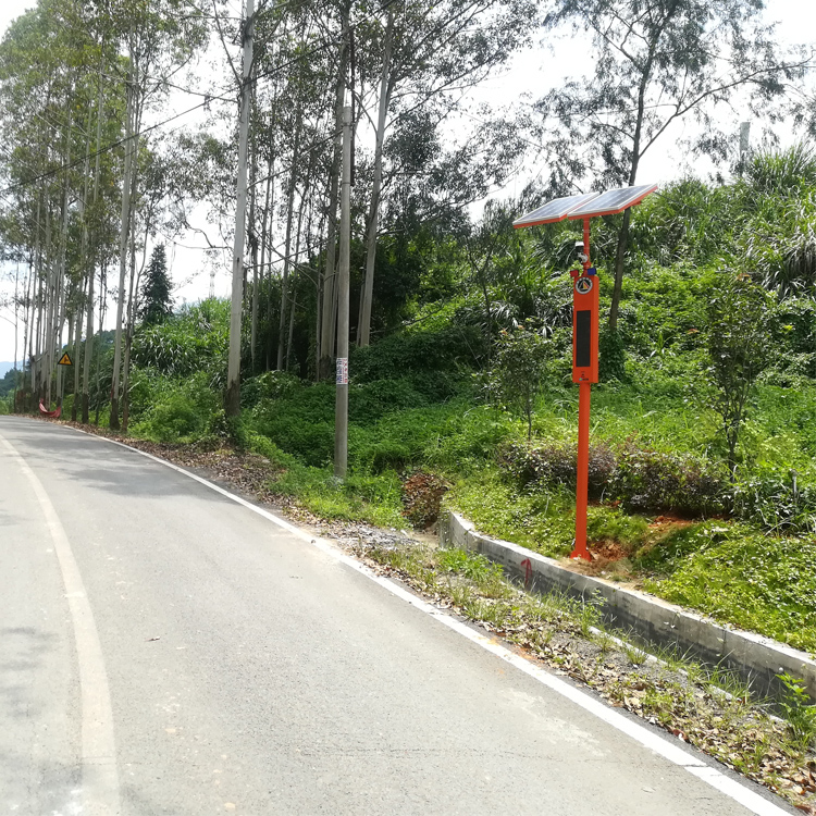 顶级摄影装备：野生动物抓拍相机的技术与应用探析