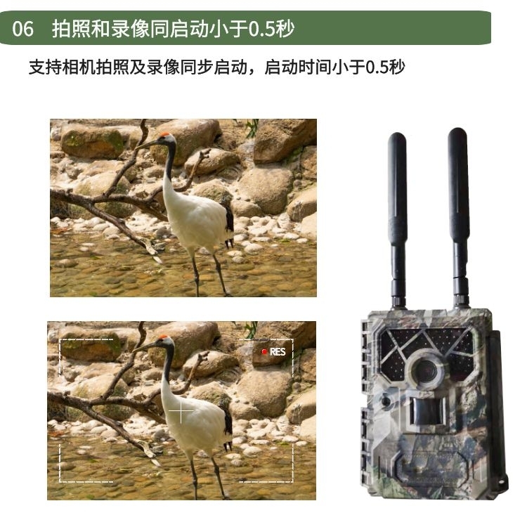 1704700293156060162.jpg 千库编辑_功能展示06.jpg