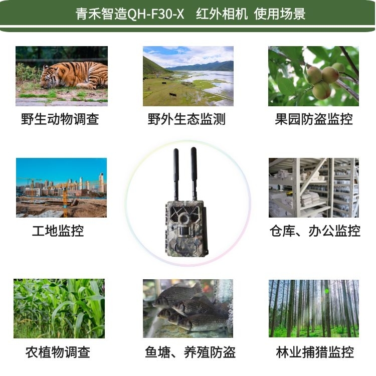 1697423809169076414.jpg 9.jpg