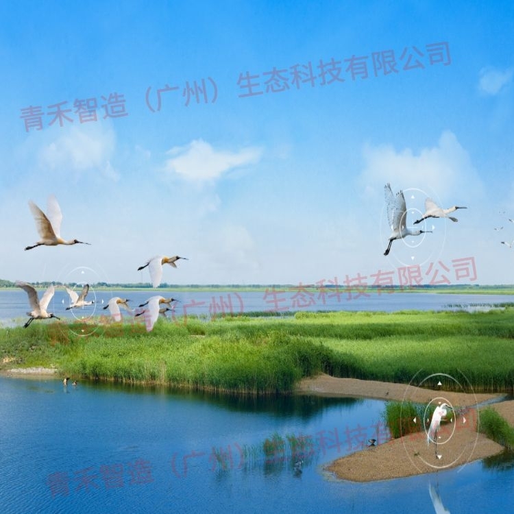 [户外防水播报]南方连日暴雨，户外防水播报，为您出行保驾护航