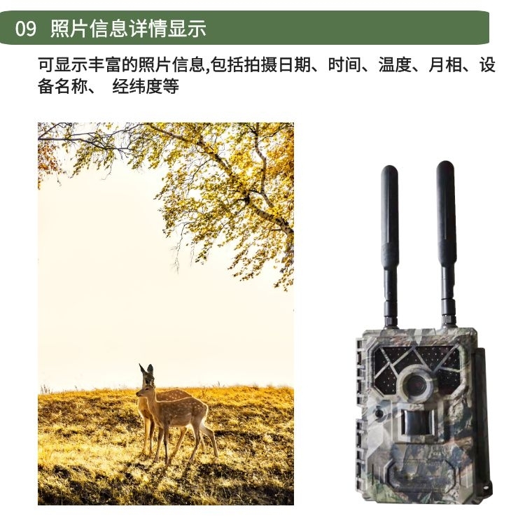 [4G野外红外触发相机]比较分析：4G野外红外触发相机的优缺点及应用场景