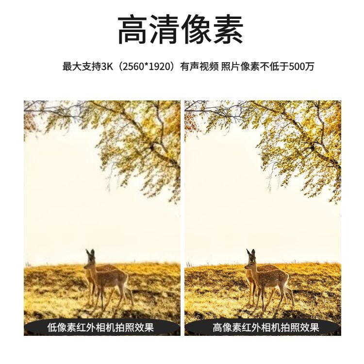 1697423739016021218.jpg 3.jpg