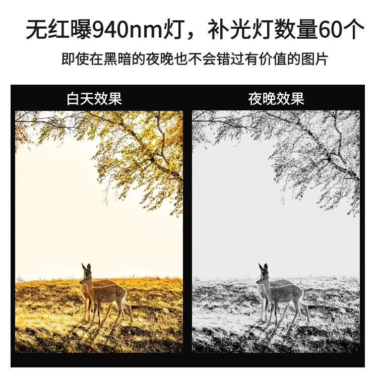 [红外摄像机]探究红外摄像机的应用及技术原理
