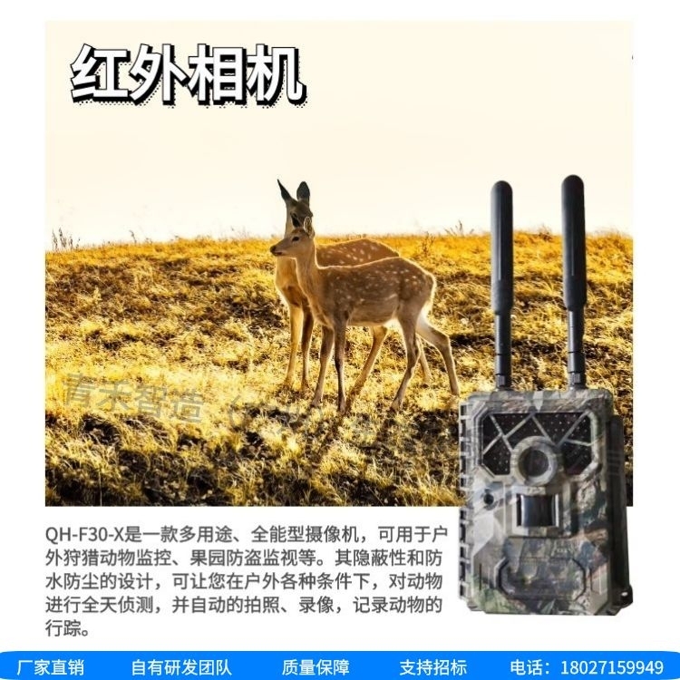 [野生动物抓拍红外摄像机]野生动物深夜行动，红外摄像机记录精彩瞬间
