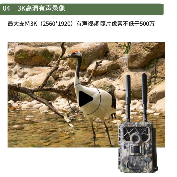 1697161708046052585.jpg 千库编辑_功能展示04.jpg