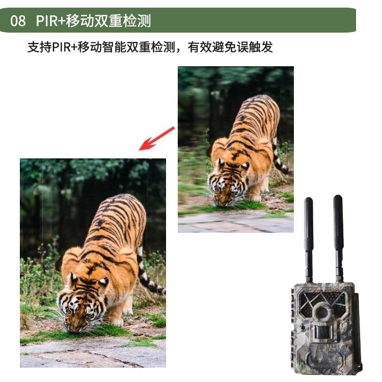 [野生动物抓拍相机]野生动物抓拍相机：记录大自然的奇妙瞬间