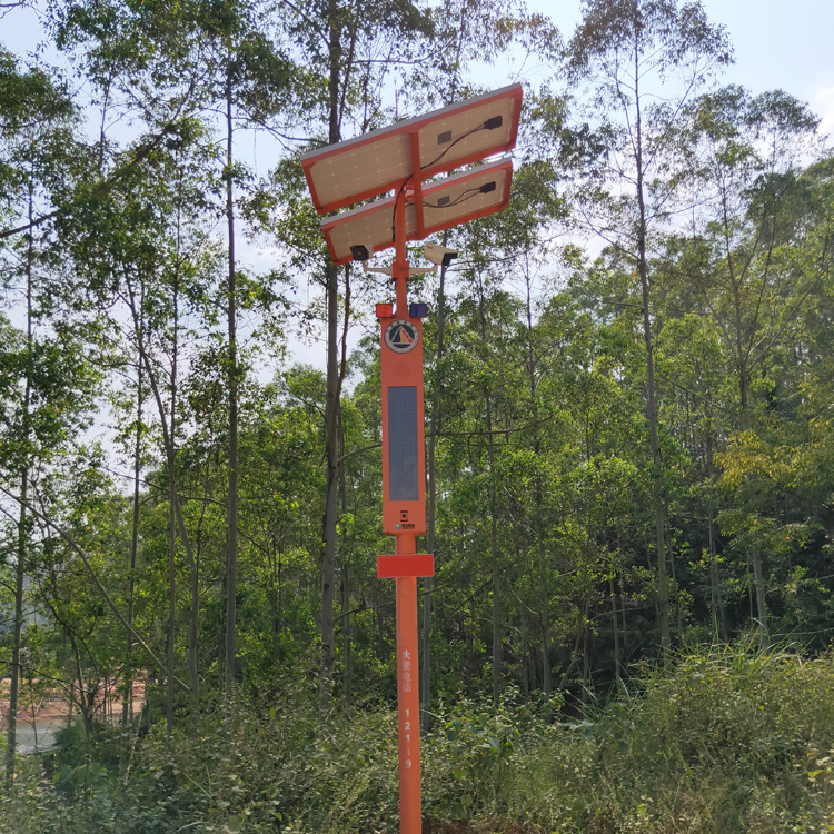 1691462601903009189.jpg 101.jpg